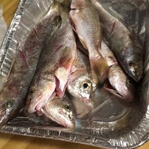 Meet your Posher, Cameron